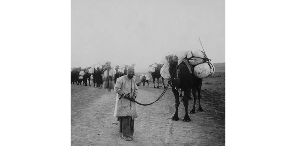 ساربان-تاریخچه فروش و فروشندگی در ایران